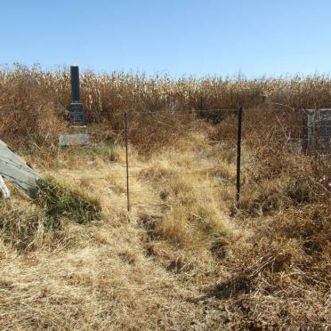 Mpumalanga, HIGHVELD RIDGE district, Kinross, Vaalbank 96, farm cemetery