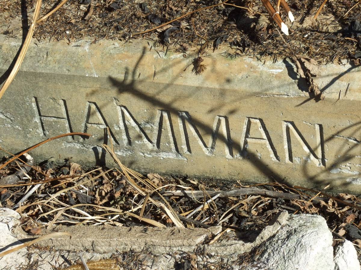 HAMMAN