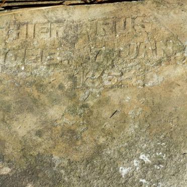 HAMMAN E.E. 1868-1889