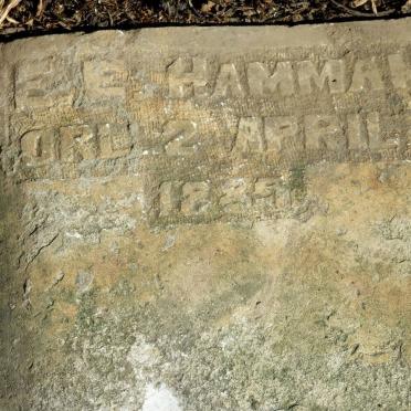 HAMMAN E.E. 1868-1889