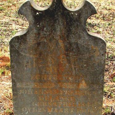 LANGE Johannes Carel, de 1844-1900