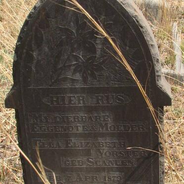 VORSTER Ella Elizabeth nee SCANLEN 1879-1936