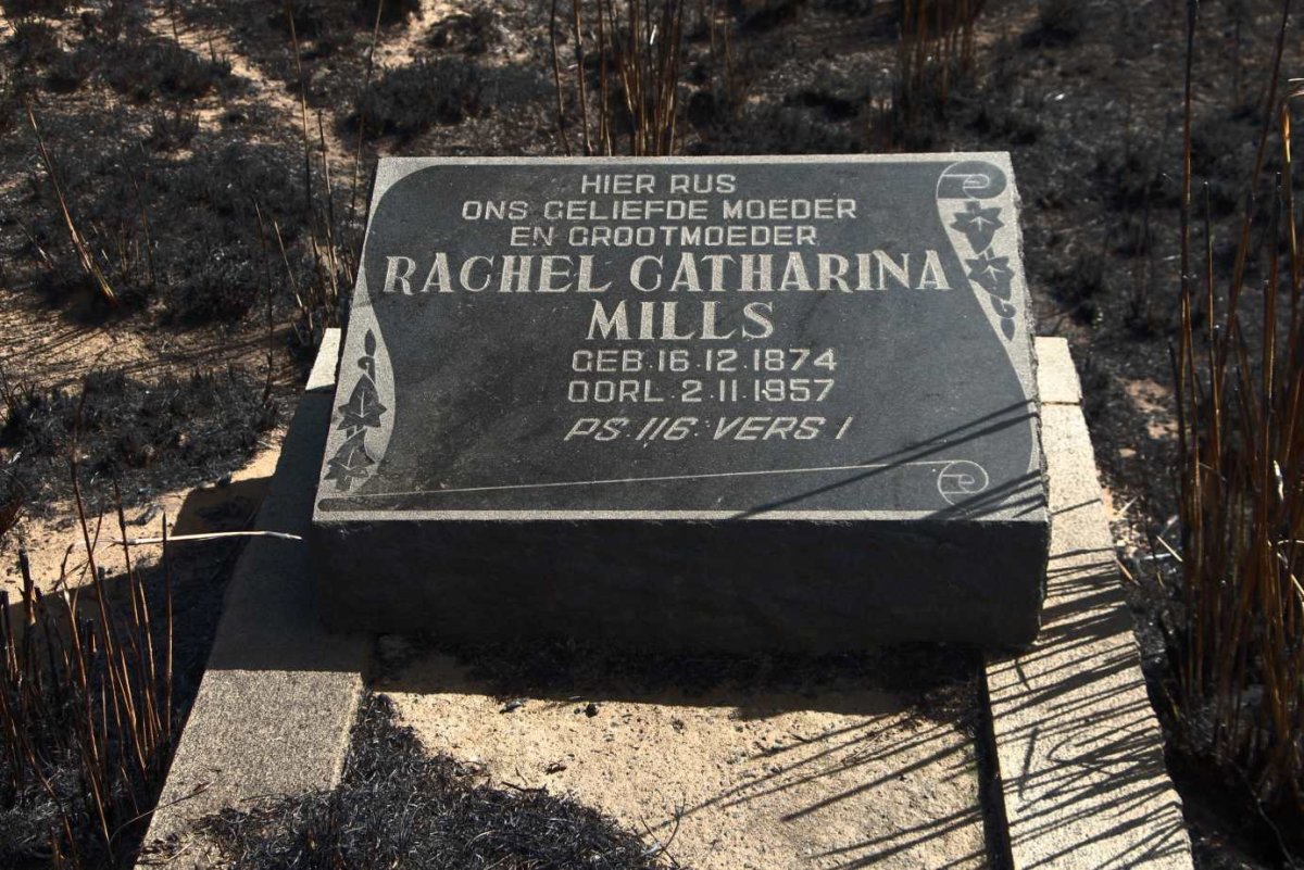 MILLS Rachel Catharina 1874-1957