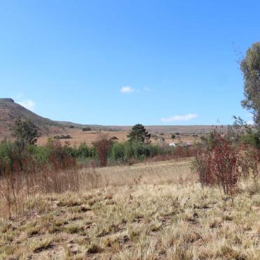 2. Overview / Oorsig