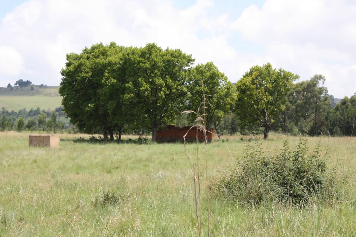 01. Overview on area