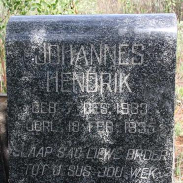 ? Johannes Hendrik 1933-1935