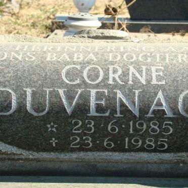 DUVENAGE Corne 1985-1985