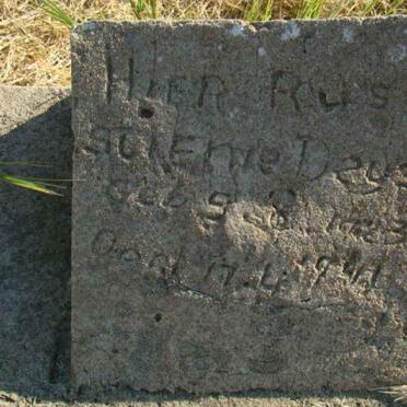 DEYSE Stienie 1923-1941