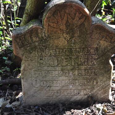 NEL Martinus S.J.P. 1916-1917