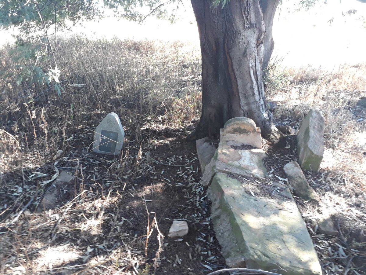 1. Overview / Oorsig