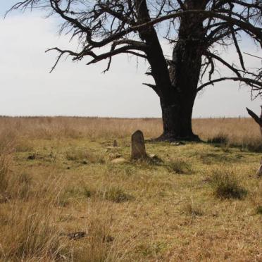 Mpumalanga, MIDDELBURG district, Wilmansrust 47_1, farm cemetery