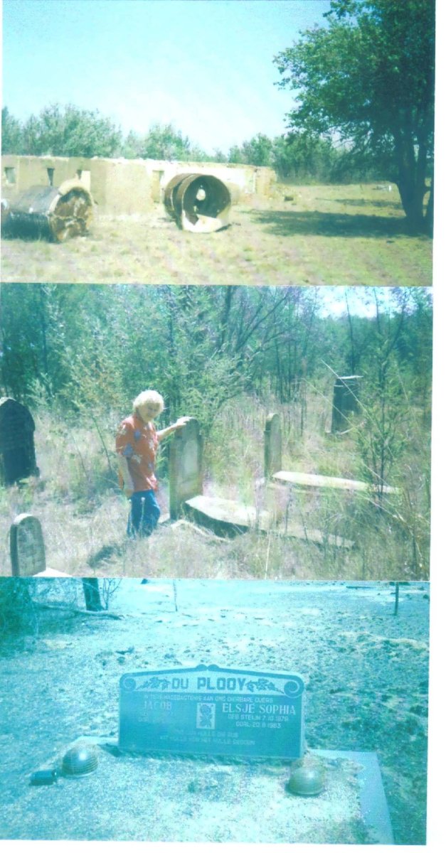 5. STEIJN :: DE WAAL :: DU PLOOY