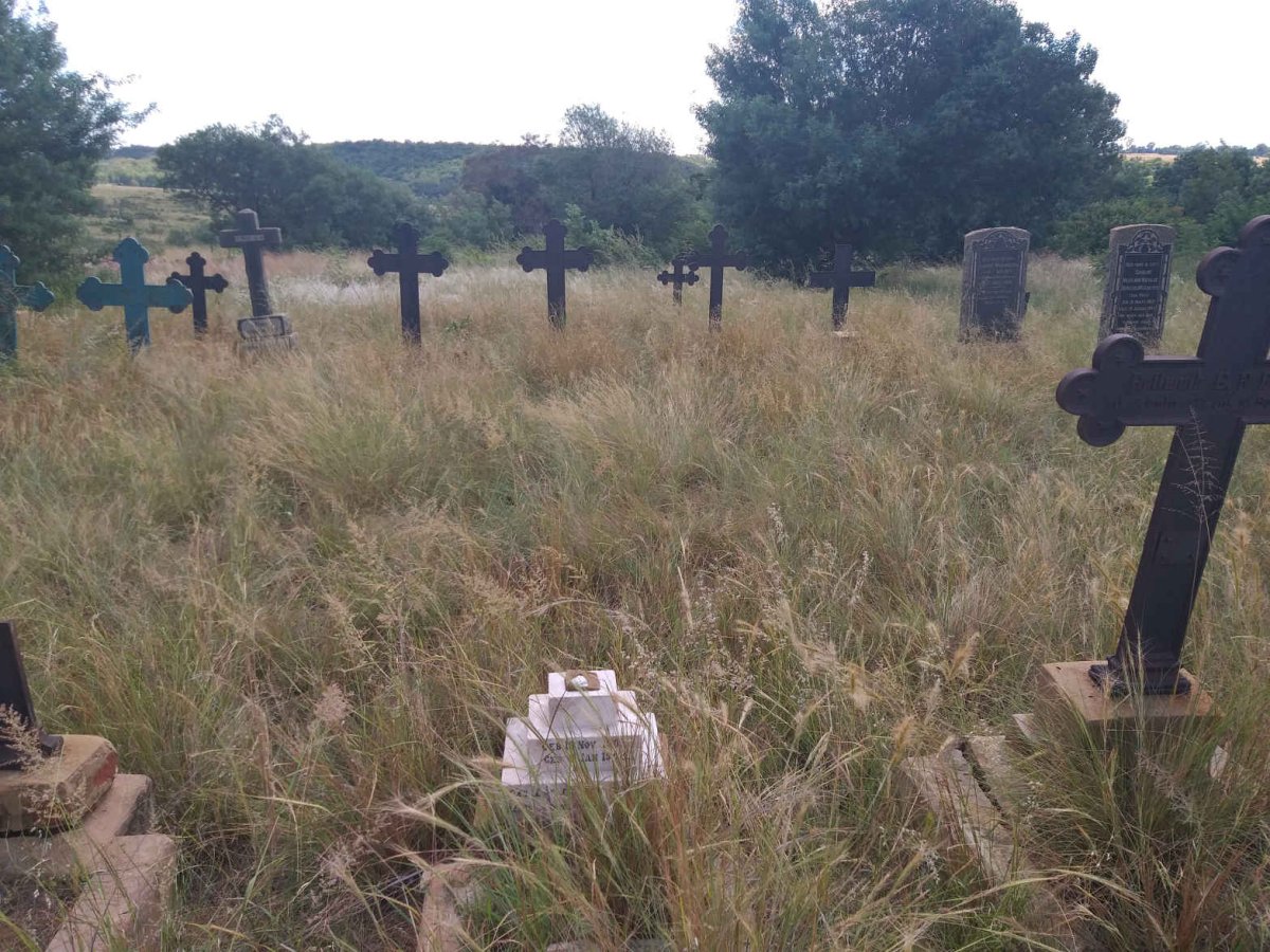 11. Overview / Oorsig