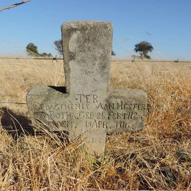 Mpumalanga, MIDDELBURG district, Rietkuil, Schoonoord 164 IS_2, farm cemetery
