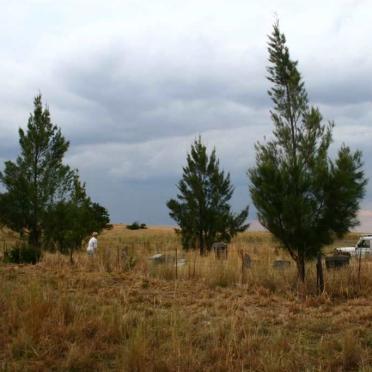 2. Overview / Oorsig