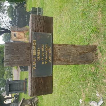 BENADE A.M.J. 1922-2002