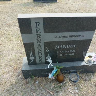 FERNANDES Manuel 1960-2003