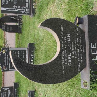 LEE Carl Johan 1956-2003