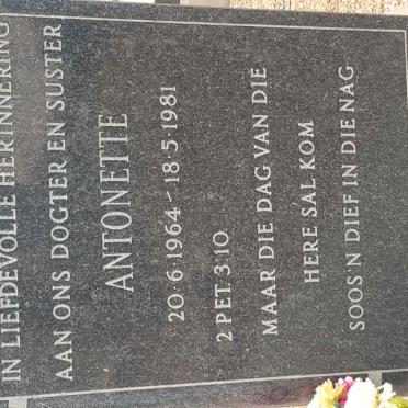 PUTTER Antonette 1964-1981