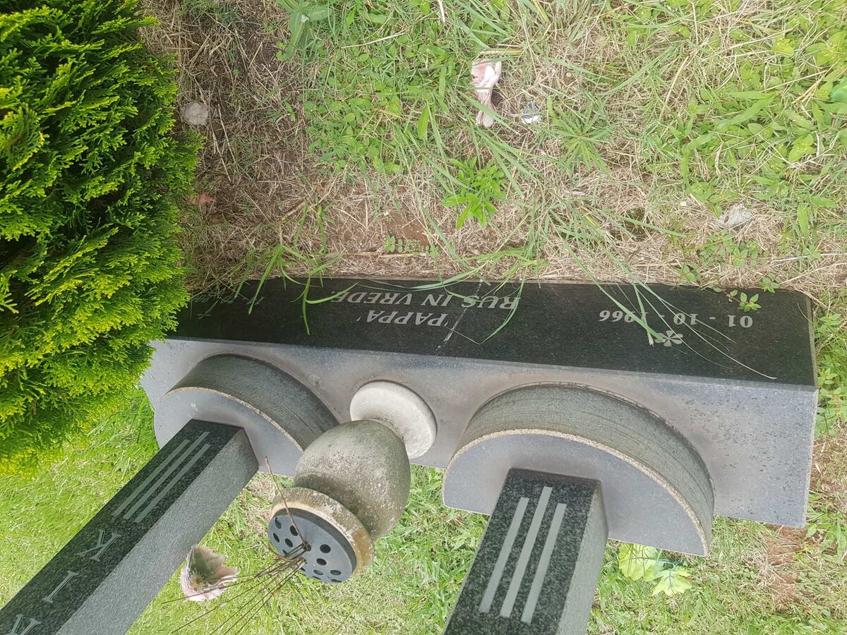 ROUX Pieter Hendrik 1966-2001 #2