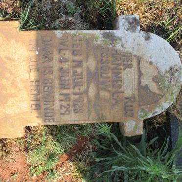 ROSSOUW Johannes L.A. 1928–1929 :: ROSSOUW Johannes L.A. 1936–1944 #2