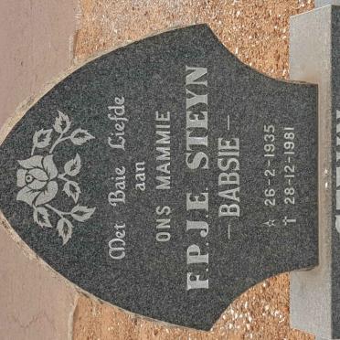 STEYN F.P.J.E. 1935-1981