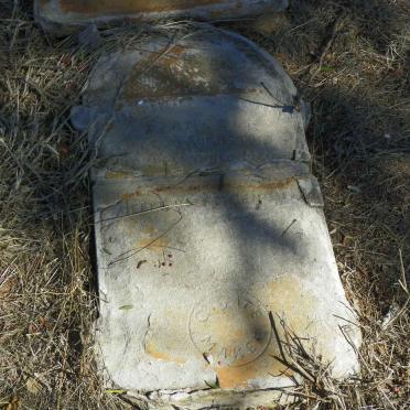 ? Martinus ? Francois