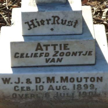 MOUTON Attie 1899-1901 #2