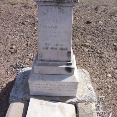 BURGER George 1894-1895