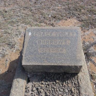 BURROWS Grace Violet 1903-