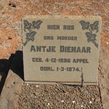 DIENAAR Antje nee APPEL 1886-1974