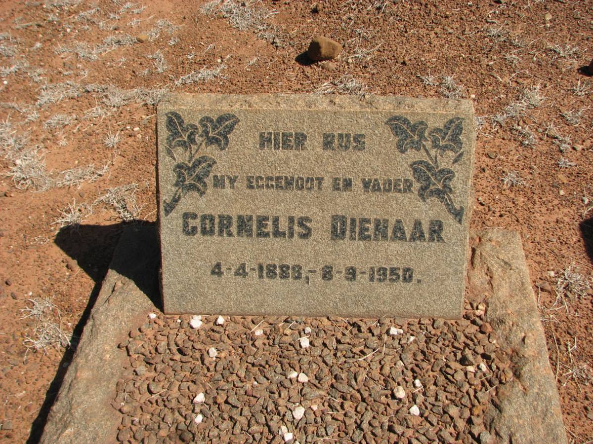 DIENAAR Cornelis 1888-1950