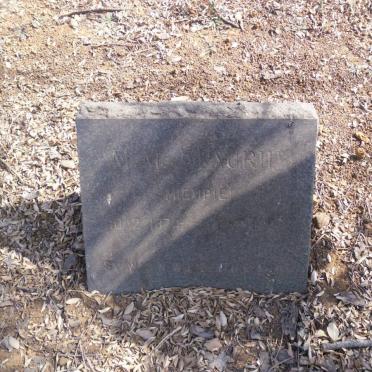 FAURIE M.M.J. 1874-1958