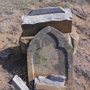 MULLER ? 1900-1901 :: MULLER P.S. 1901-190?