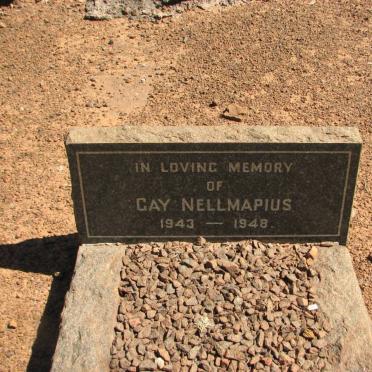 NELLMAPIUS Gay 1943-1948