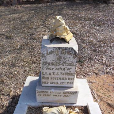 SCORGIE Frances Ethel 1901-1903