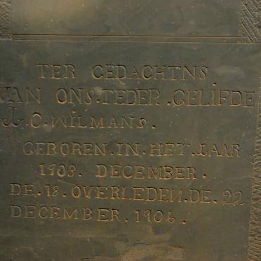 WILMANS C. 1903-1905