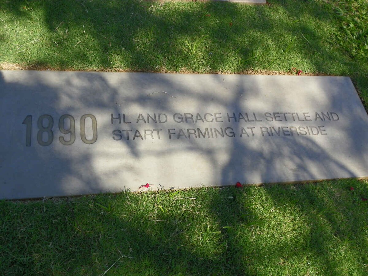 07. H.L. and Grace HALL settle and start farming at Riverside 1890