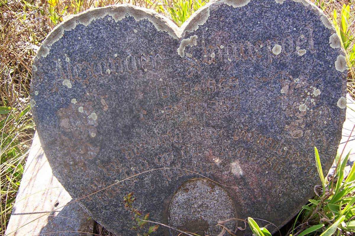 SWANEPOEL Alexander 1959-1963