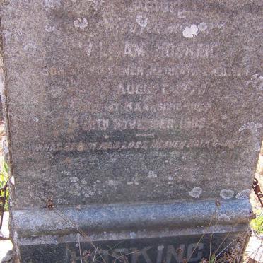 HOSKING William 1870-1932 