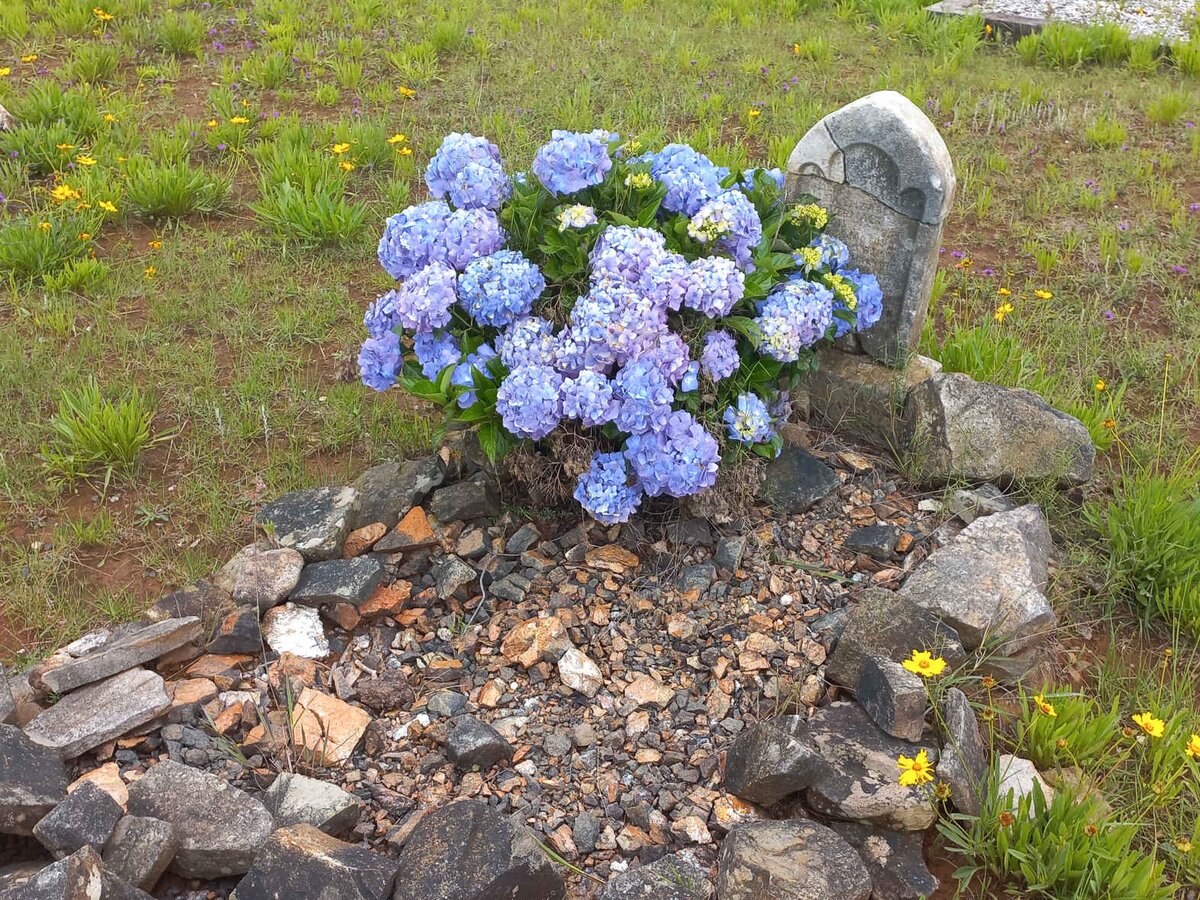 VERMAAK Maria Elizabeth 18?4-1901 