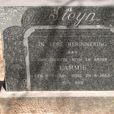 STEYN Lammie 1941-1954
