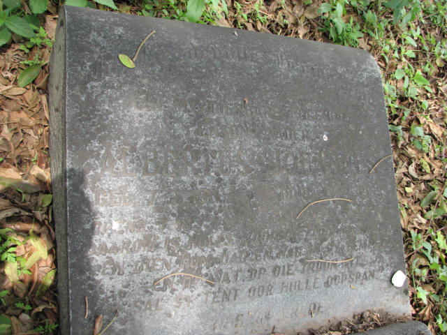 ? Albertus Johannes ?