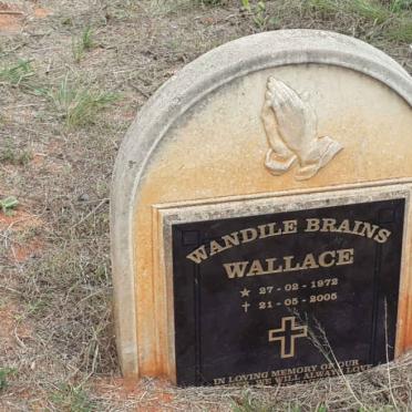 WALLACE Wandile Brains 1972-2005