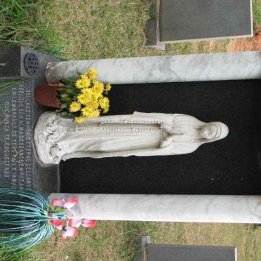 CARVALHO Joao Luis 1960-1988