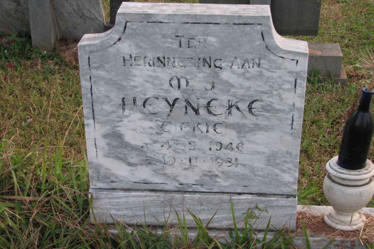 HEYNEKE M.J. 1946-1981