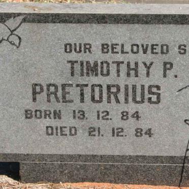 PRETORIUS Timothy P. 1984-1984