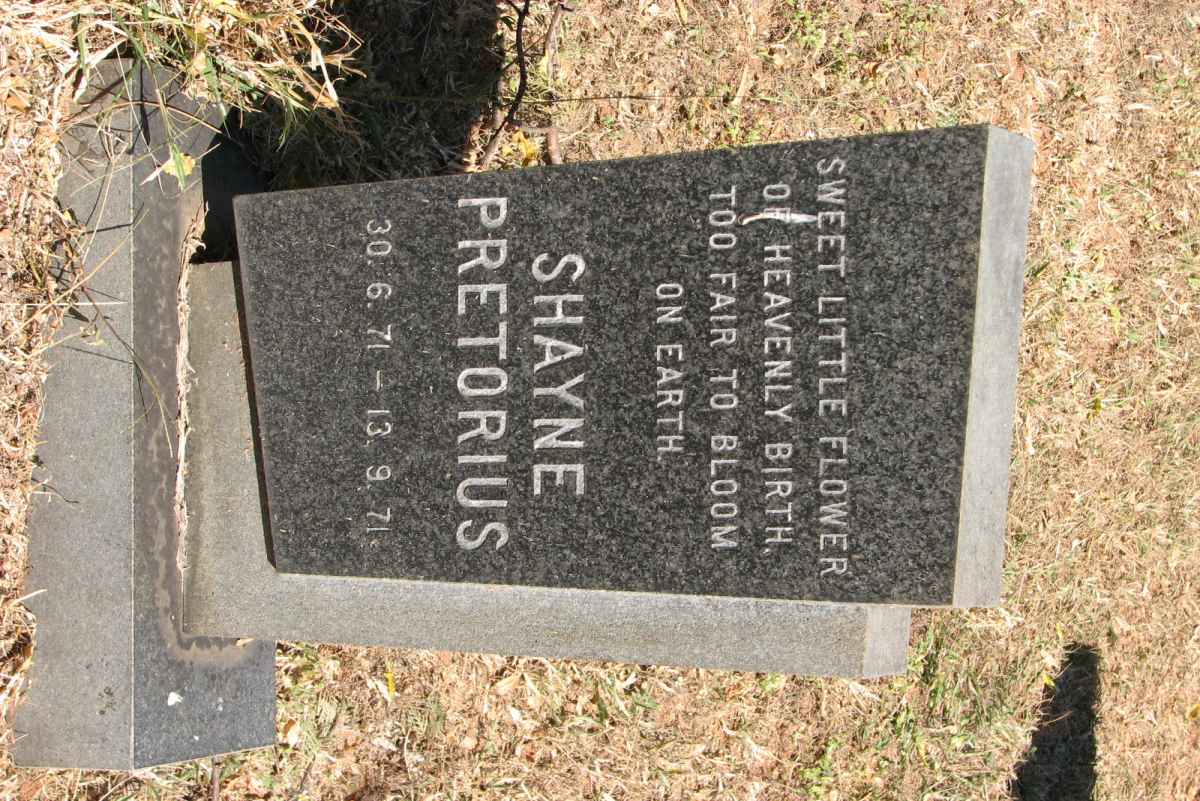 PRETORIUS Shayne 1971-1971