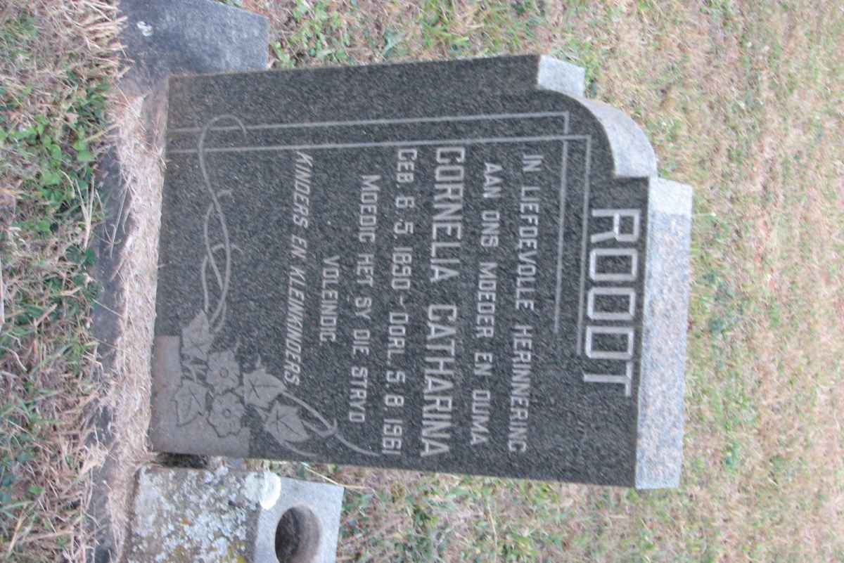 ROODT Cornelia Catharina 1890-1961