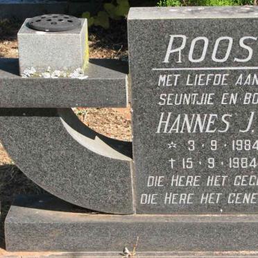 ROOS Hannes J.J. 1984-1984